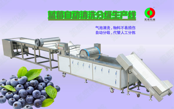 文山蓝莓/蔬果全自动清洗分级生产线